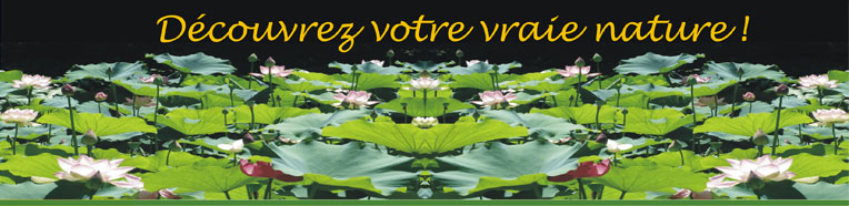 D&eacute;couvrez votre vraie nature !